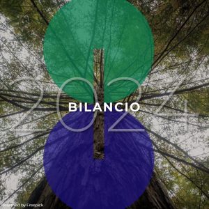 Bilancio 2024 - sito