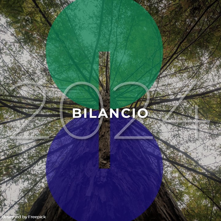 Bilancio 2024 - sito